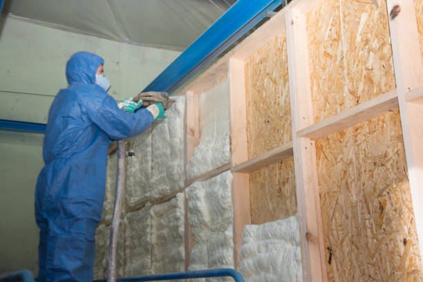 Best Crawl Space Insulation  in Sleepy Hollow, IL
